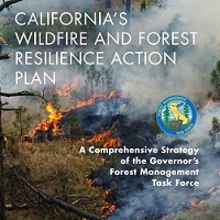 Resilience Action Plan Report Cover Image